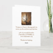 自然恋人 シーズンカード (裏面)