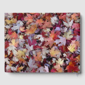 自然愛好家の懐かしい思い出 – 紅葉 ゲストブック (裏面)