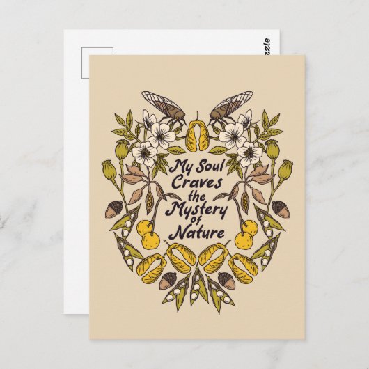 自然愛虫はがき ポストカード (正面/裏面)