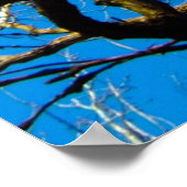 自然感動的フォトアート ポスター (角)