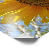 自然撮影ファインアートプリントひまわり フォトプリント (角)