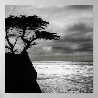 自然撮影モノクロ ポスター