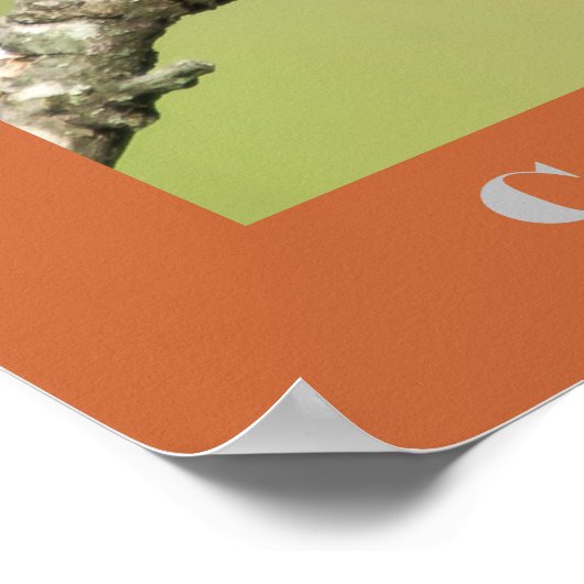 自然撮影杉ワックスウィングバーダー ポスター (角)