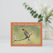 自然撮影杉ワックスウィングバーダー ポストカード (スタンド正面)