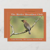 自然撮影杉ワックスウィングバーダー ポストカード (正面/裏面)