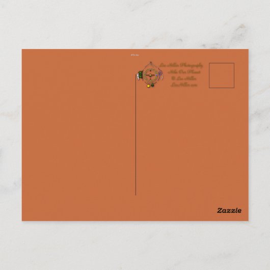 自然撮影杉ワックスウィングバーダー ポストカード (裏面)