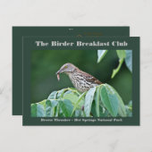 自然撮影茶色のトラッシャーバーダーカード ポストカード (正面/裏面)