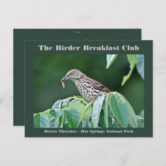 自然撮影茶色のトラッシャーバーダーカード ポストカード (正面/裏面)