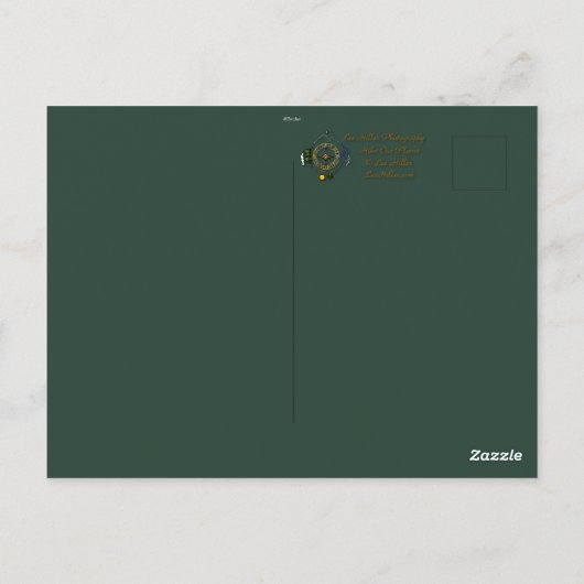 自然撮影茶色のトラッシャーバーダーカード ポストカード (裏面)