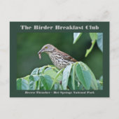 自然撮影茶色のトラッシャーバーダーカード ポストカード (正面)