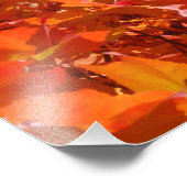 自然撮影赤オレンジイエロー紅葉 フォトプリント            (角)