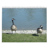 自然撮影 カレンダー (カバー)