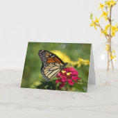 自然撮影 カード (黄色い花)