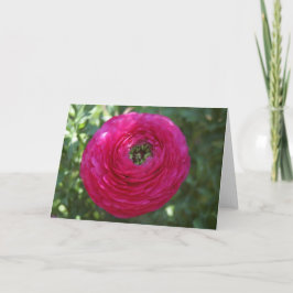 自然撮影 カード