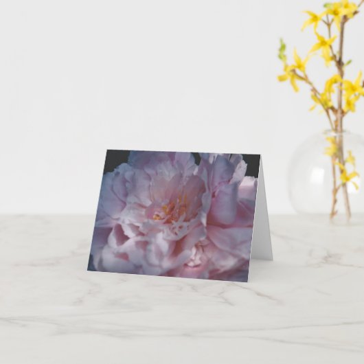 自然撮影 カード (黄色い花)