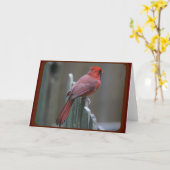 自然撮影 カード (黄色い花)