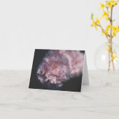 自然撮影 カード (黄色い花)