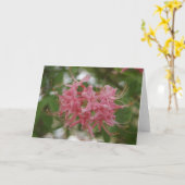 自然撮影 カード (黄色い花)