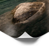 自然旅行 – 水山風景 ポスター (コーナー)