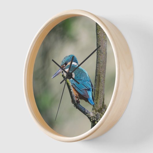 自然時計 壁時計 (傾斜)