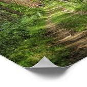 自然景観景観フォレストツリーズベラルーシ ポスター (角)