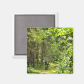 自然景観景観フォレストツリーズベラルーシ マグネット (正面/裏面)