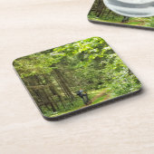 自然景観景観フォレストベラルーシ コースター (左側)