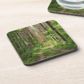 自然景観景観フォレストベラルーシ コースター (左側)