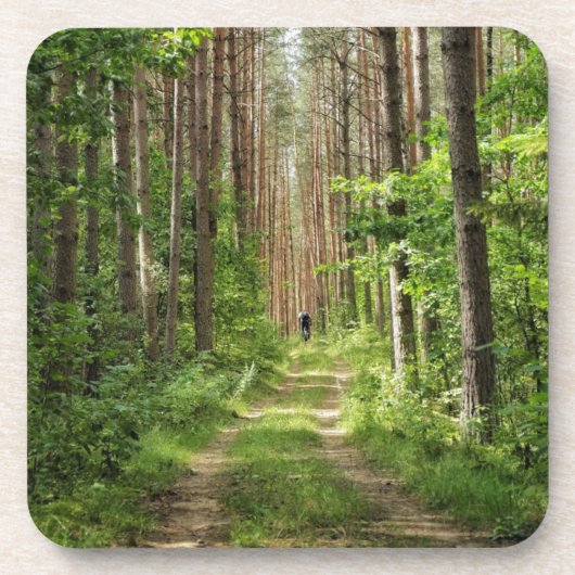 自然景観景観フォレストベラルーシ コースター (正面)