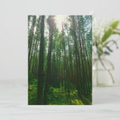 自然景観景観フォレストベラルースフラットカード (スタンド正面)