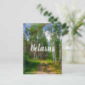 自然景観景観フォレスト樺の木ベラルーシ ポストカード (スタンド正面)