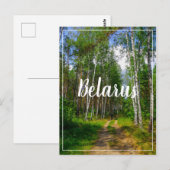 自然景観景観フォレスト樺の木ベラルーシ ポストカード (正面/裏面)