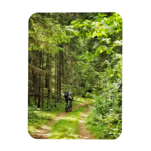自然景観景観フォレスト樺の木ベラルーシ マグネット (縦)