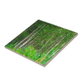 自然景観景観樺の木ツリー タイル (側面)