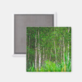 自然景観景観樺の木ツリー マグネット (正面/裏面)