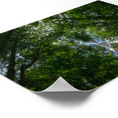 自然景観森林ベラルースポスター ポスター (角)