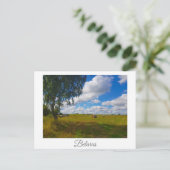 自然景観風景樺の木ツリーベラルーシ ポストカード (スタンド正面)