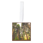 自然木 キューブオーナメント (正面)