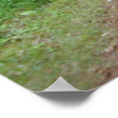 自然森のパス写真ポスターアートMN ポスター (角)