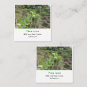 自然植物の写真ビーチ水の旅行名 スクエア名刺 (正面/裏面)