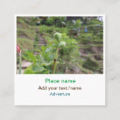 自然植物の写真ビーチ水の旅行名 スクエア名刺 (裏面)