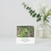 自然植物の写真ビーチ水の旅行名 スクエア名刺 (スタンド正面)