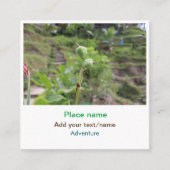 自然植物の写真ビーチ水の旅行名 スクエア名刺 (正面)