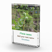 自然植物の写真ビーチ水の旅行名 フォトブロック (右)