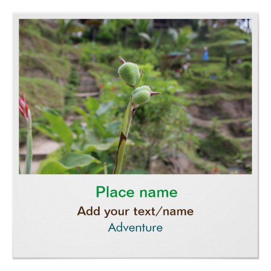 自然植物の写真ビーチ水の旅行名 ポスター (正面)