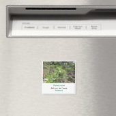 自然植物の写真ビーチ水の旅行名 マグネット (インサイチュ (食洗機))