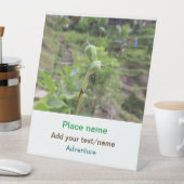 自然植物の写真ビーチ水の旅行名 台座サイン (インサイチュ)