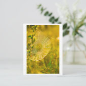 自然横向きスパイダーウェブ ポストカード (スタンド正面)