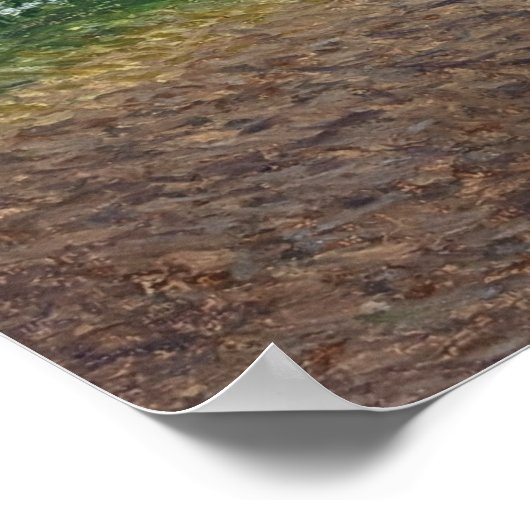 自然歩行 ポスター (角)