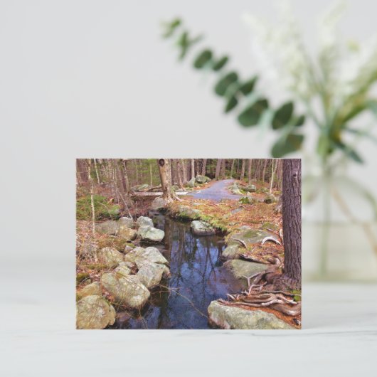 自然流 ポストカード (スタンド正面)